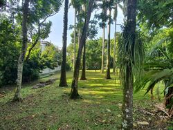 Raffles Park (D11), Detached #468796411